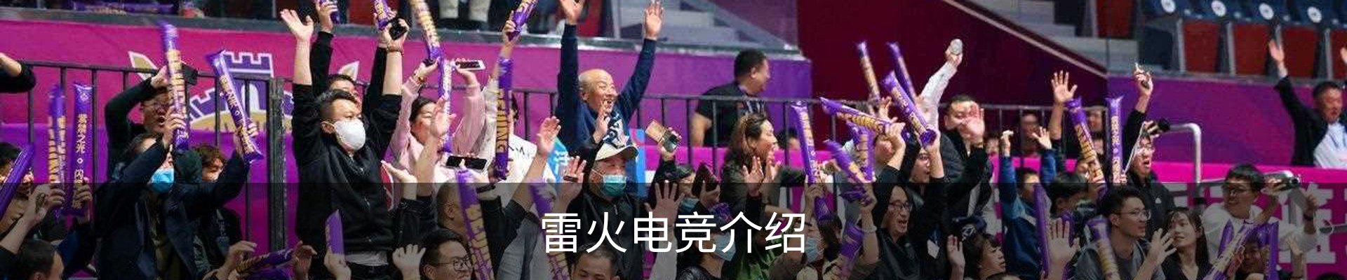 雷火电竞介绍